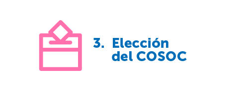 Elección del COSOC