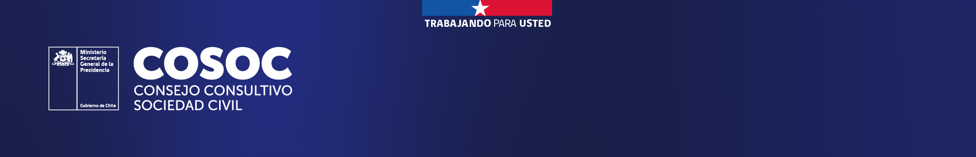 Banner Consejo de la Sociedad Civil